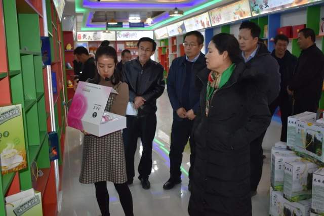 省监委委员王吉霞一行莅临漳县电子商务公共服务中心调研指导工作