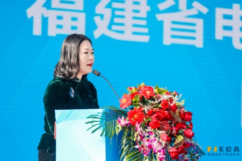 “梅”好闽清，共绘闽清高质量发展山水画卷
