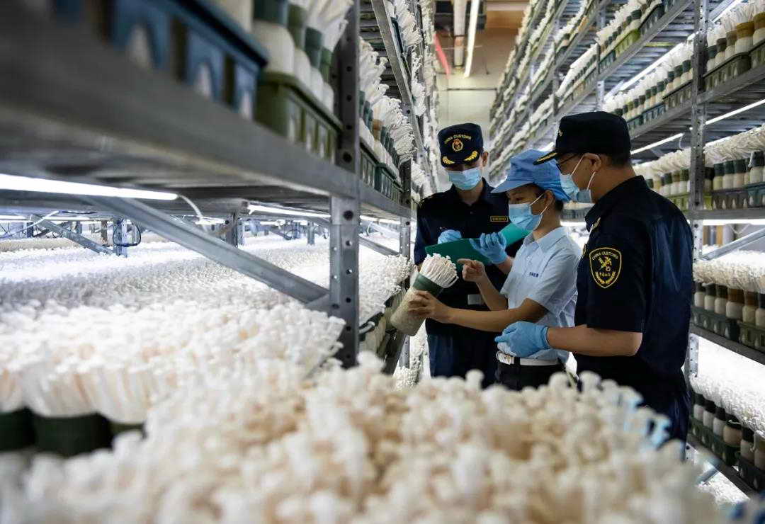 国务院批复同意！韶关获批设立跨境电子商务综合试验区