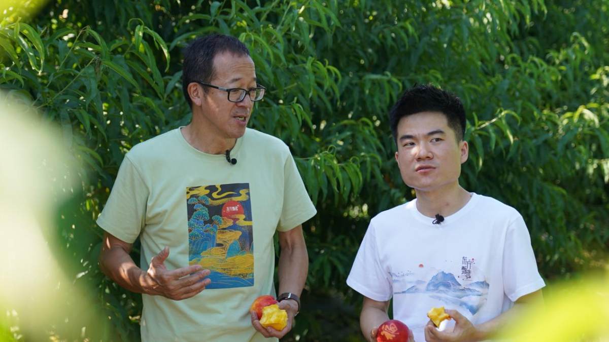 沉浸式”外景直播推广北京平谷大桃，东方甄选探索公益助农创新