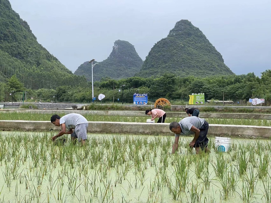 “嗦”出美好生活：“网红”广西螺蛳粉登陆拼多多第四届农货节