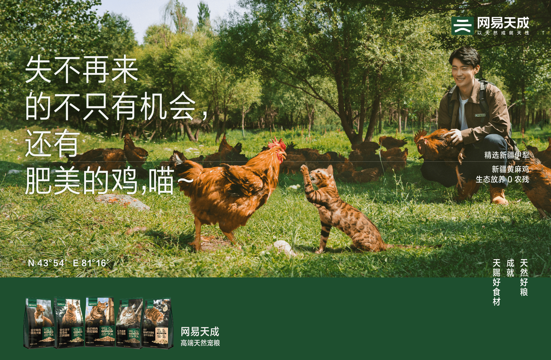 网易严选再添“新成员”，发布宠物子品牌“网易天成”主打中高端市场
