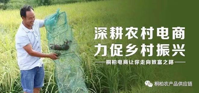 桐柏县特色农产品O2O运营中心日常直播进行中