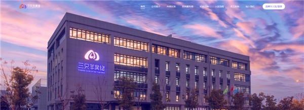 疯狂小杨哥：以直播电商推进数实融合