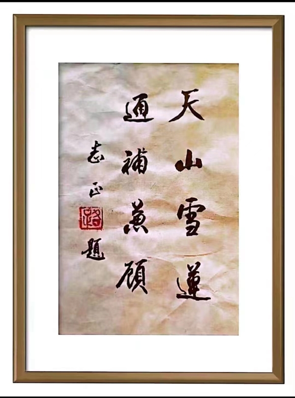 山东神首生物科技集团发展纪实:天山雪莲引领健康产业新时代