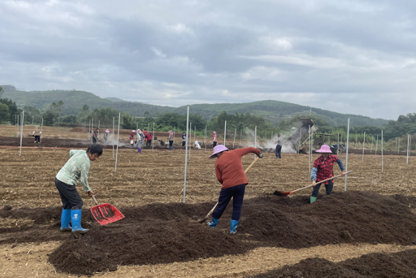 英德市青塘镇青北村：党建引领电商助力 探索高质量发展路