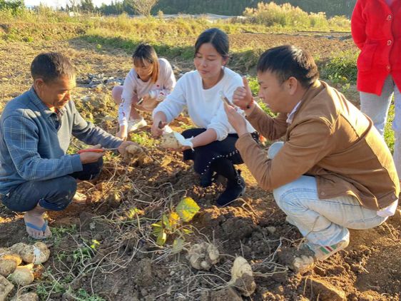 芒棒镇：党建夯实发展后劲 培育乡村电商发展平台