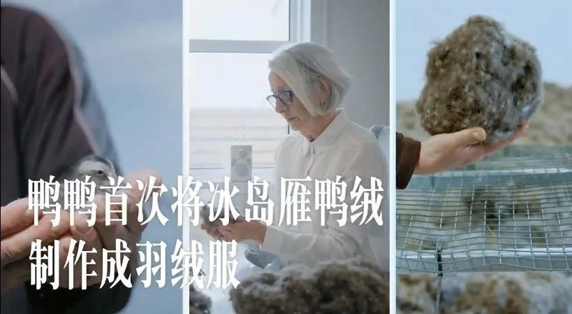 解密鸭绒:为何鸭鸭 羽 绒服是冬日的最佳选择?