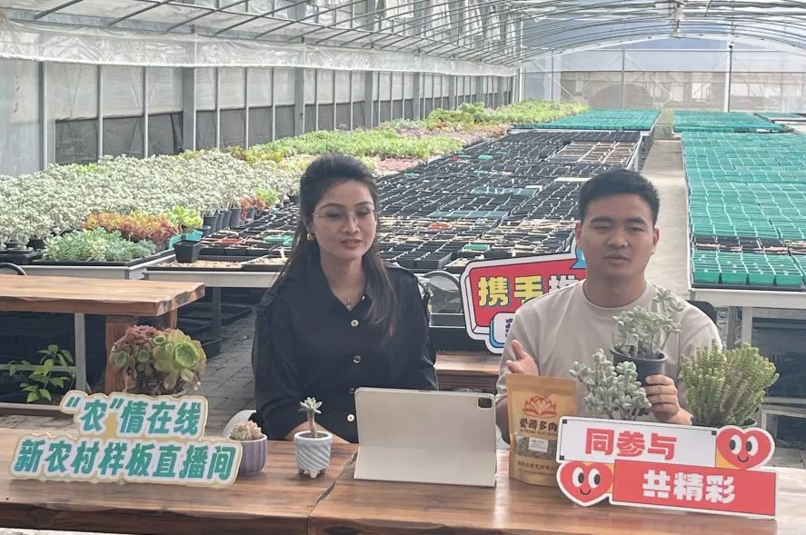 青年人才“挑大梁”，他们参访学习电商直播新业态
