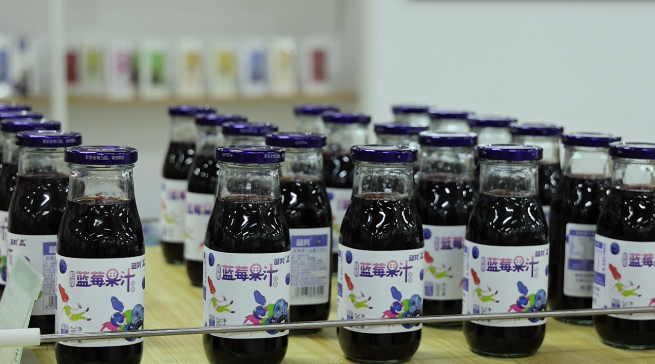 贵州麻江：电商助力“农特产”出山进城