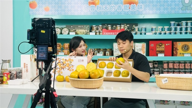 信宜北梭甜柿喜迎丰收，天猫美食助力“信字号”北梭甜柿“柿”力“出圈”走俏全国