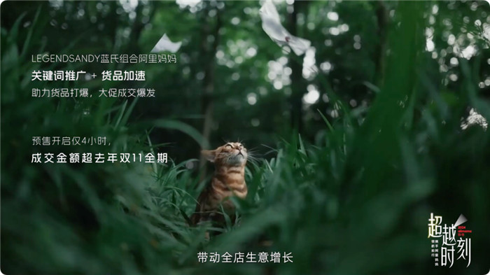 多行业预售成交翻倍 | 双11阿里妈妈携手8大商家领航生意新风向