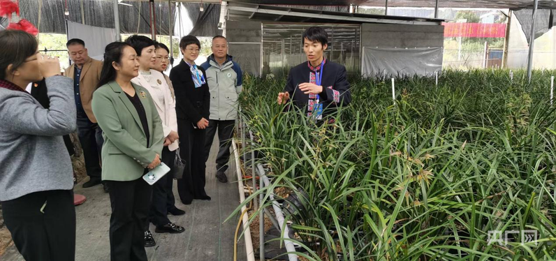 湖南江永推动“电商+生态产业”走出新路子