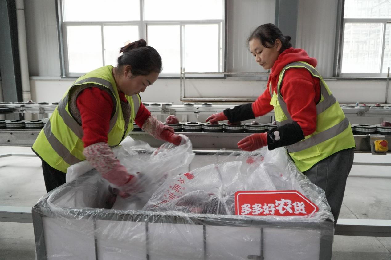 快递年业务量首破1500亿背后：拼多多引领电商西进 助推中西部包裹量激增