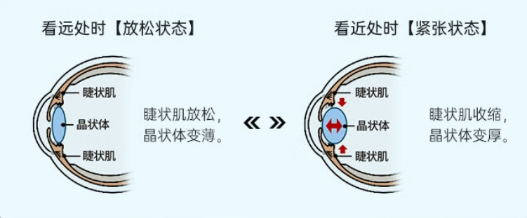 https://img.cndsw.com.cn/uploads/2025/06/24c15580a7451caa7c3e39ca46fc719b.png